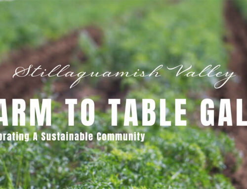Farm to Table Gala organized by the Arlington Food Bank!
