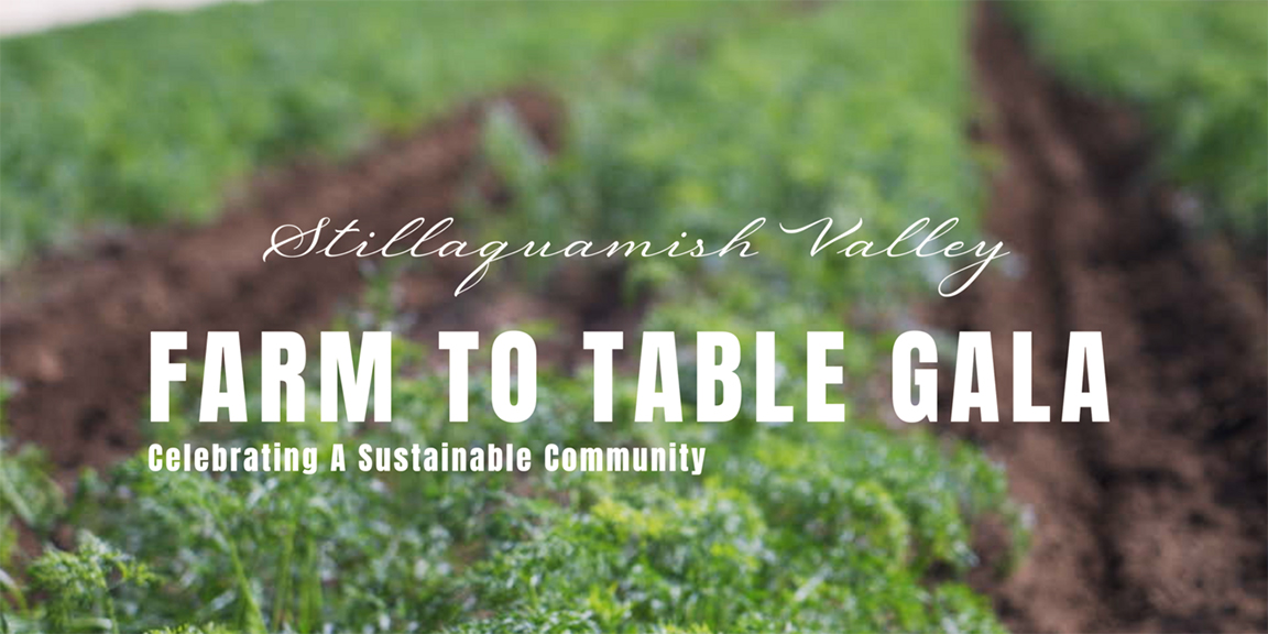Arlington Food Bank's Farm to Table Gala
